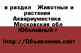  в раздел : Животные и растения » Аквариумистика . Московская обл.,Юбилейный г.